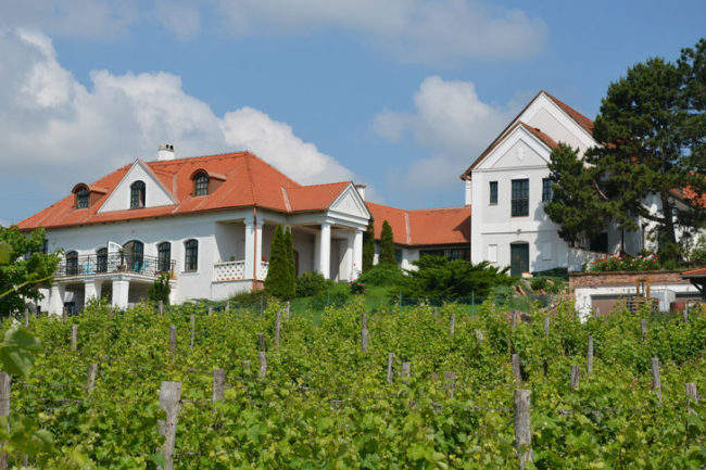 jasdi_birtok_728_485_7 jasdi_birtok_728_485_7