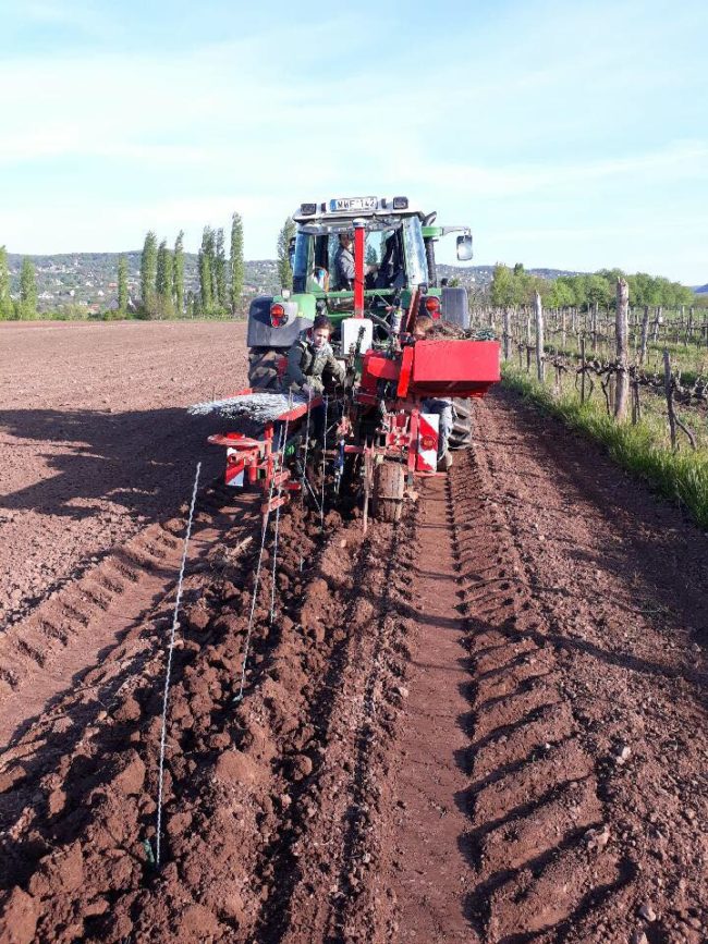 18447625_1790666510948516_2874947489162435397_n