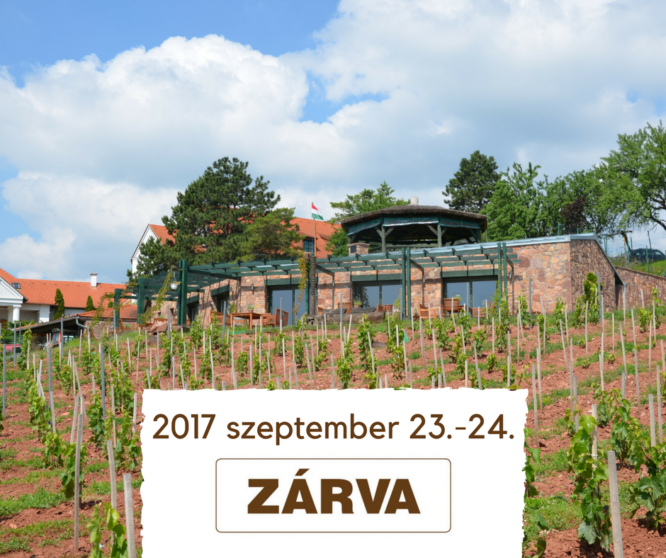 jasdi-borterasz jasdi-borterasz