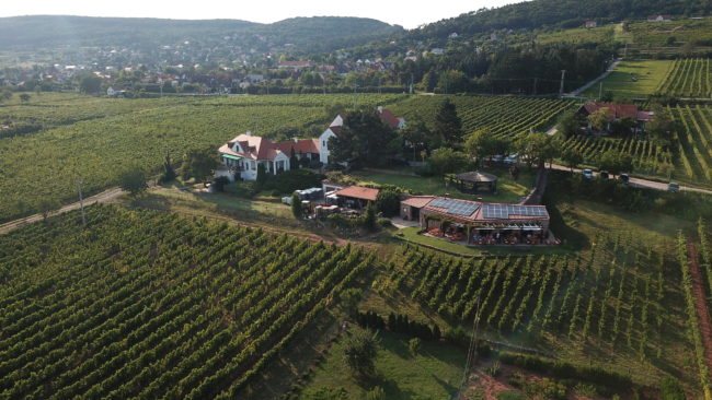 kedd esti borest kedd esti borest