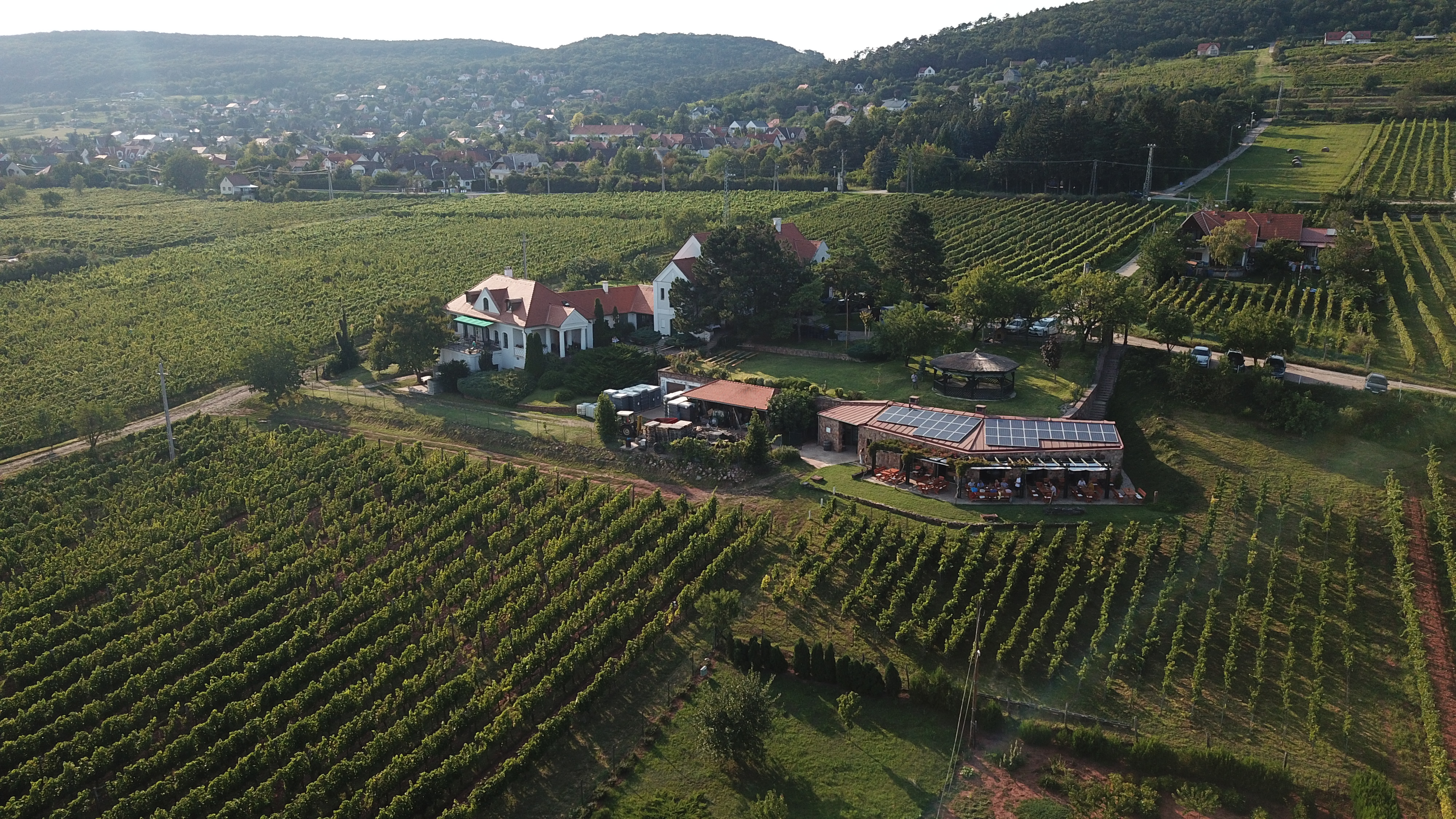 kedd esti borest kedd esti borest